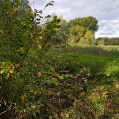 Naturschutzgebiet