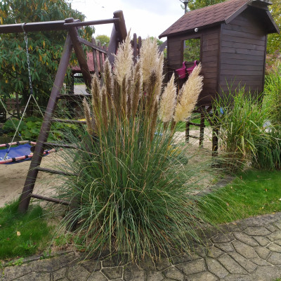Sandbereich im Garten